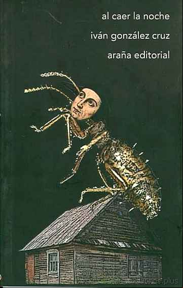 Descargar ebook AL CAER LA NOCHE