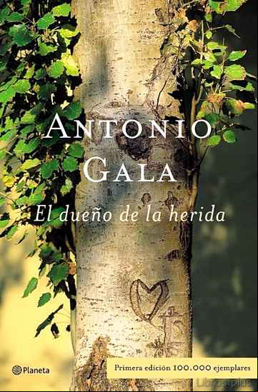 Descargar ebook EL DUEÑO DE LA HERIDA