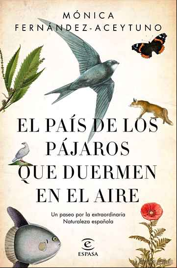 Descargar ebook EL PAIS DE LOS PAJAROS QUE DUERMEN EN EL AIRE en epub