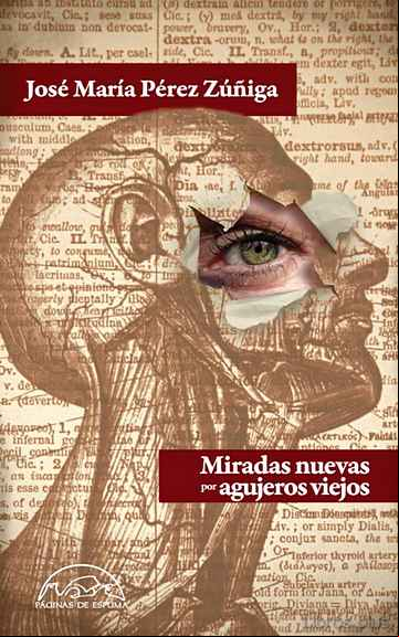 Descargar ebook MIRADAS NUEVAS POR AGUJEROS VIEJOS en epub