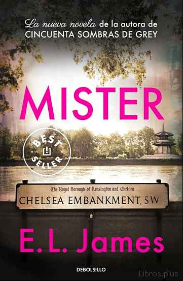 Descargar ebook MISTER (EDICIÓN EN CASTELLANO)