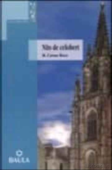 Descargar ebook NITS DE CELOBERT