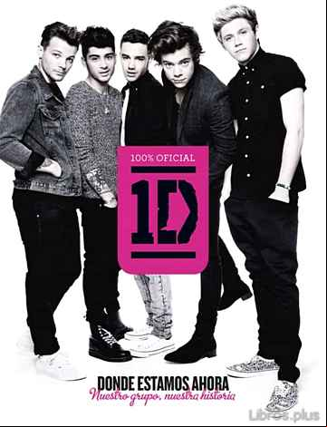 Descargar ebook ONE DIRECTION. DONDE ESTAMOS AHORA